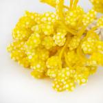 "Blumentag" Тычинки для искусственных цветов TIC/F-3 10 х 85 шт