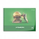 "Светоч" А207 Альбом для рисования, с пластик. обложкой 180 мкм., цветной титул лист 100 г/м2 A4 29 х 20.5 см 40 л. на гребне 5 шт.