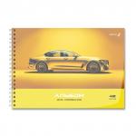 "Светоч" А207 Альбом для рисования, с пластик. обложкой 180 мкм., цветной титул лист 100 г/м2 A4 29 х 20.5 см 40 л. на гребне 5 шт.