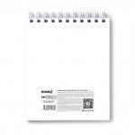 "Светоч" А164 Артбук (Скетчбук), блок белый, пластик. обл. 400 мкм, с тис.фольг.цвет.запечат.титул.лист, жест.подложка 100  г/м2 175*200 мм на гребне 80 л. 2 шт.