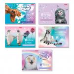 "Светоч" 32АЛСК4_3_3_9 Альбом для рисования, глянц.ламинация, 100 г/м2 A4 29 х 20.5 см 32 л. 5 шт. на скобе