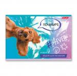 "Светоч" 32АЛСК4_3_3_9 Альбом для рисования, глянц.ламинация, 100 г/м2 A4 29 х 20.5 см 32 л. 5 шт. на скобе