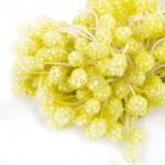 "Blumentag" Тычинки для искусственных цветов TIC/MBF-3 10 х 85 шт