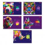 "Светоч" 40АЛСК4_1_3_9 Альбом для рисования 100 г/м2 A4 29 х 20.5 см 40 л. 5 шт. на скобе