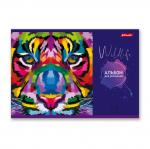 "Светоч" 40АЛСК4_1_3_9 Альбом для рисования 100 г/м2 A4 29 х 20.5 см 40 л. 5 шт. на скобе