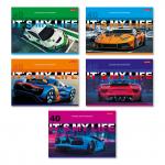 "Светоч" 40АЛСК4_4_3_9 Альбом для рисования, выбор.лак, 100 г/м2 A4 29 х 20.5 см 40 л. 5 шт. на скобе