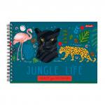 "Светоч" 48АЛГР4_2_3_9 Альбом для рисования, матовая ламинация, 100 г/м2 A4 29 х 20.5 см 48 л. 4 шт. на гребне