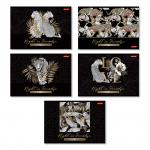 "Светоч" 48АЛСК4_7_3_9 Альбом для рисования, фольга, 100 г/м2 A4 29 х 20.5 см 5 шт. на скобе 48 л.