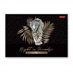 "Светоч" 48АЛСК4_7_3_9 Альбом для рисования, фольга, 100 г/м2 A4 29 х 20.5 см 5 шт. на скобе 48 л.