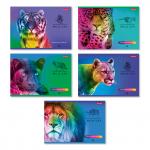 "Светоч" 48АЛСК4_1_3_9 Альбом для рисования 100 г/м2 A4 29 х 20.5 см 48 л. 5 шт. на скобе