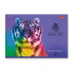 "Светоч" 48АЛСК4_1_3_9 Альбом для рисования 100 г/м2 A4 29 х 20.5 см 48 л. 5 шт. на скобе