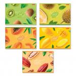 "Светоч" 48АЛСК4_1_3_9 Альбом для рисования 100 г/м2 A4 29 х 20.5 см 48 л. 5 шт. на скобе