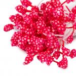 "Blumentag" Тычинки для искусственных цветов TIC/F-3 10 х 85 шт