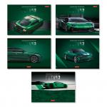 "Светоч" 48АЛСК4_1_3_9 Альбом для рисования 100 г/м2 A4 29 х 20.5 см 48 л. 5 шт. на скобе