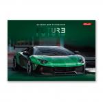 "Светоч" 48АЛСК4_1_3_9 Альбом для рисования 100 г/м2 A4 29 х 20.5 см 48 л. 5 шт. на скобе