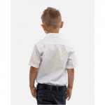 Рубашка детская Tsarevich PT2000/9-K