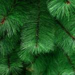 Искусственная ёлка «Зимнее волшебство. Кедр зелёный», 150 см, d иголок 10 см, d нижнего яруса 87 см, 152 ветки отгибаются