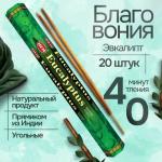 HEM  Precious Eucalyptus Hexa Благовоние Эвкалипт 20шт
