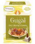 PATANJALI Aastha Guggal Dry Dhoop Cones  Благовоние конусы сухие Гугал 20г