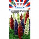 Люпин декоративный триколор