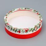 Коробка для макарун тубус с окном «Новогодняя ботаника», 20?20?5 см