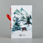 Коробка - книга новогодняя «С Новым годом», 20?12.5?5 см