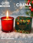 Ароматическая свеча новогодняя в стакане «Пряный апельсин», 60 г
