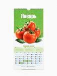 Календарь 2026 на ригеле «Садово-огородный» 16.5?34 см