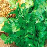 Кориандр овощной Бородинский 2гр