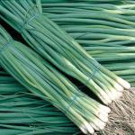 Лук батун Валдай 1гр