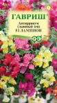 цАнтирринум Лампион амп. (Львиный зев) 5шт (10006286)
