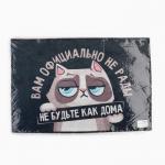 Коврик придверный «Кот», 40?60 см