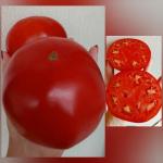 Томат Грицык 10шт