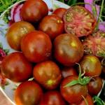 Томат Альянс повстанцев 10шт