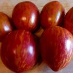 Томат Дон жуан 10шт