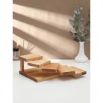 Доска для подачи с подиумами Adelica, 28?19.5?11 см, 5 ступеней, пропитана маслом, дерево берёза