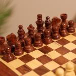 Игра настольная 2 в 1, шахматы, бэкгэммон, 15.5?15.5?5 см, дерево шишам