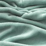 Плед «Этель», 200?220 см,100% п/э, корал-флис, мятный