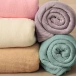 Плед «Этель», 200?220 см,100% п/э, корал-флис, мятный