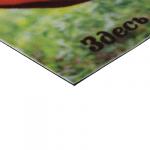 Коврик влаговпитывающий  Samba  50*80 см. Собаки в гамаке,  VORTEX