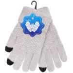 Перчатки мужские зимние сенсорные "NEHOLOD", цвет серый, 22*11см (пакет с подвесом)