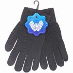 Перчатки мужские зимние сенсорные "NEHOLOD", цвет черный, 24,5*9см (пакет с подвесом)