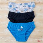 Трусы DOMI BOYS 72000-29, 1 шт. в уп.