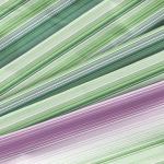 Комплект постельного белья 1,5-спальный, бязь ГОСТ (220) (Летиция, компаньон)