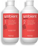 Ambient НАБОР AMBIENT Service Лосьон для коррекции косметического цвета волос, Состав 1 и 2, 500+500