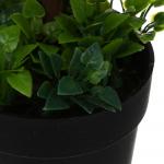 LADECOR Дерево искусственное в кашпо, 9х25 см, пластик, 2 дизайна