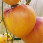  Томат Сержант Пеппер 10шт