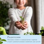 Инструмент для изготовления бумажных горшков для рассады, Greengo