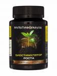 Подкормка для растений «Мультиформула. Биостимулятор роста», 100 мл