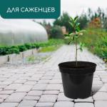 Горшок для рассады, 15 л, d=33.5 см, h=22 см, чёрный, Greengo